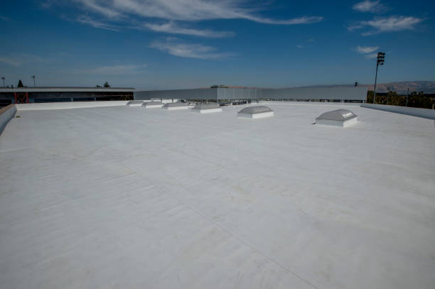 Best Rubber Roofing (EPDM, TPO)  in Conestee, SC